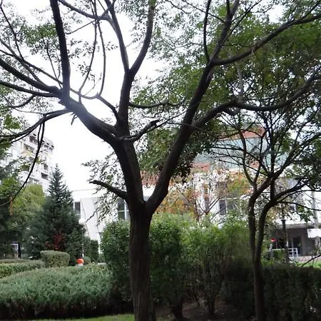 Apartament Luxury Versailles Center Opera *