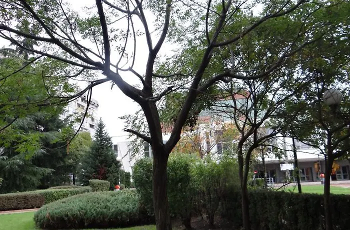 Lejlighed Luxury Versailles Center Opera *