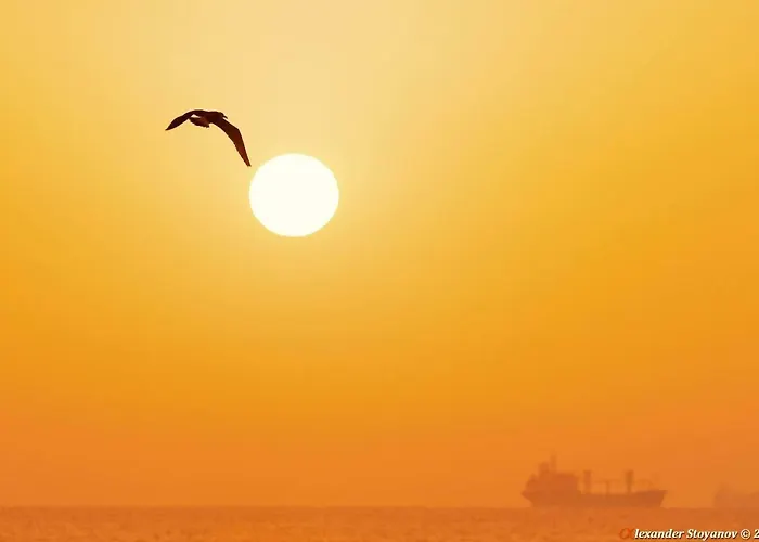 Luxury Versailles Center Opera Lejlighed